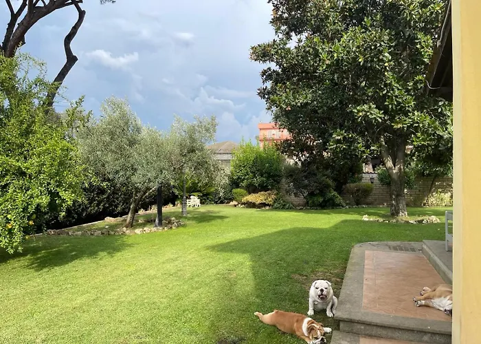 Paradise * רומא